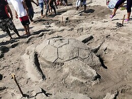 Barra Zacapulco - Palapa Abrabam