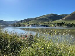 PH in Alto Douro Vinhateiro