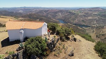 PH in Alto Douro Vinhateiro