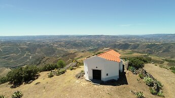 PH in Alto Douro Vinhateiro