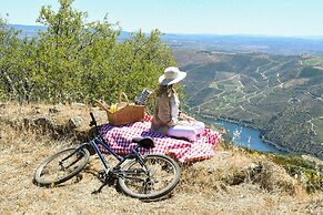 PH in Alto Douro Vinhateiro