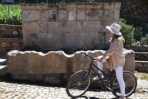 PH in Alto Douro Vinhateiro