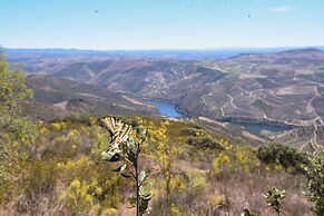 PH in Alto Douro Vinhateiro