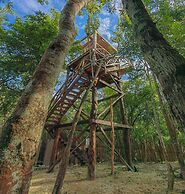 Treehouse Tulum H2Ojos