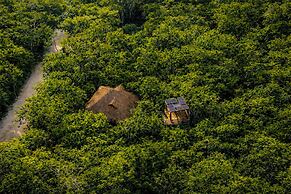 Treehouse Tulum H2Ojos