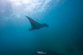 Jukung Dive Resort Penida