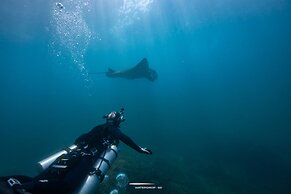 Jukung Dive Resort Penida