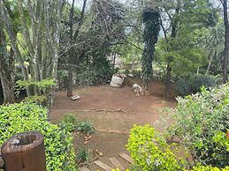 Comrades Oasis Guest House