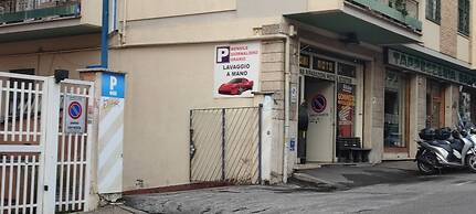 Vatican Green Garden