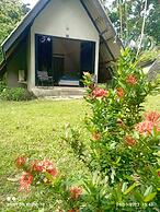 Cashewnut Tree Resort