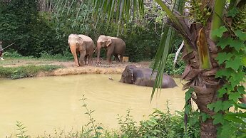 Cashewnut Tree Resort