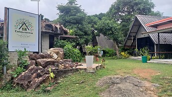 Cashewnut Tree Resort