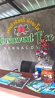 Cashewnut Tree Resort
