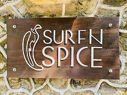 SURF N SPICE