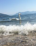 Cavaedium Guest House