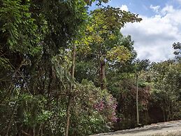 Refugio en el Bosque