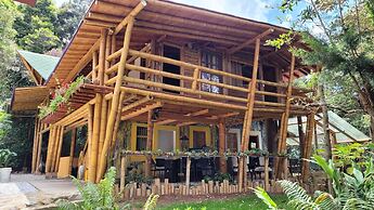 Refugio en el Bosque