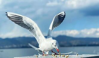 Hilton Garden Inn Kunming Dianchi