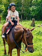 Volcano Tenorio Glamping Ranch - 3 Tents