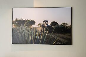 Hotel Boutique Gloriagave