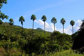 2 Bedroomed House With a Lovely Garden - 2177