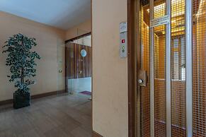 Green Forest by Wonderful Italy