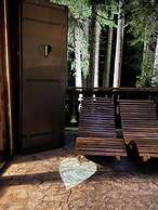 Villa Borovets Mountain & Luxury