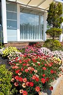 Gadura Kır Evleri Urla