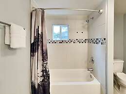 The Misty Mountain Retreat