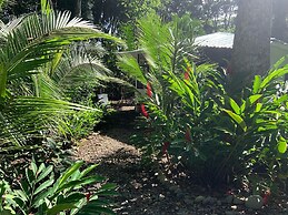 Beachfront apartment Punta uva