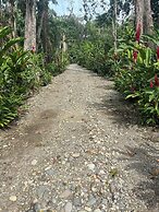 Beachfront apartment Punta uva
