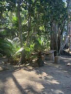 Beachfront apartment Punta uva