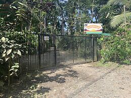 Beachfront apartment Punta uva