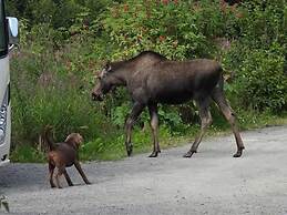Blue Spruce Apartment