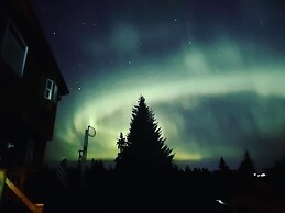 Blue Spruce Apartment