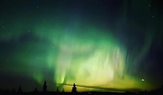 Blue Spruce Apartment