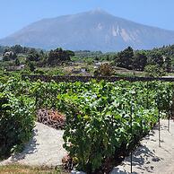 Casa Salvia - Rural Holiday Home