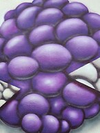 Casa Salvia - Rural Holiday Home