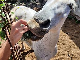 Casa Salvia - Rural Holiday Home