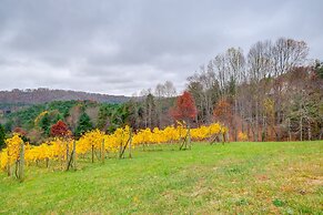 Pet-friendly Pilot Studio w/ Vineyard Views!