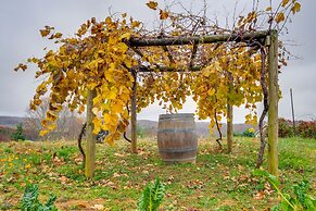 Pet-friendly Pilot Studio w/ Vineyard Views!