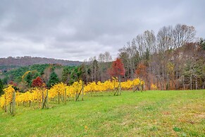 Pet-friendly Pilot Studio w/ Vineyard Views!