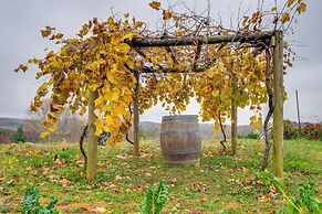 Pet-friendly Pilot Studio w/ Vineyard Views!
