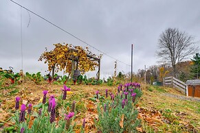 Pet-friendly Pilot Studio w/ Vineyard Views!