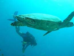 Suffix Retreat - Stay, Dive & Explore Fuvahmulah