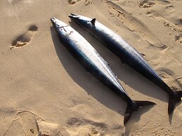 Suffix Retreat - Stay, Dive & Explore Fuvahmulah