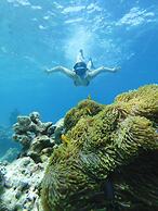 Suffix Retreat - Stay, Dive & Explore Fuvahmulah