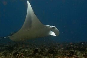 Suffix Retreat - Stay, Dive & Explore Fuvahmulah