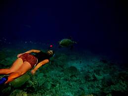 Suffix Retreat - Stay, Dive & Explore Fuvahmulah