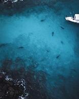 Suffix Retreat - Stay, Dive & Explore Fuvahmulah